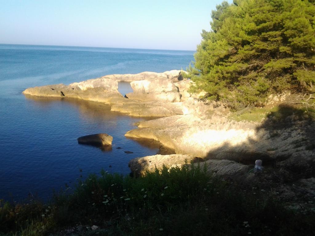 Guest House Aldin Ulcinj Buitenkant foto