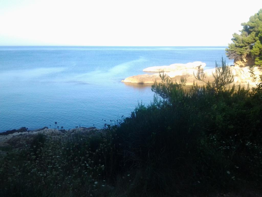Guest House Aldin Ulcinj Buitenkant foto
